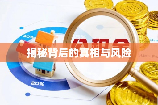 合作揭秘背后的真相与风险