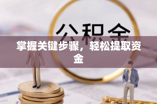 合作掌握关键步骤，轻松提取资金