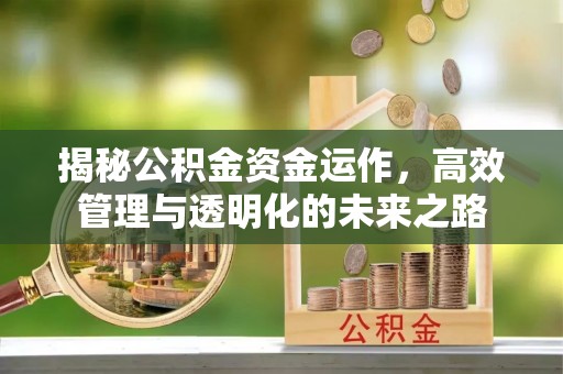 合作揭秘公积金资金运作，高效管理与透明化的未来之路