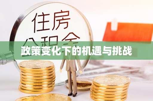 合作政策变化下的机遇与挑战