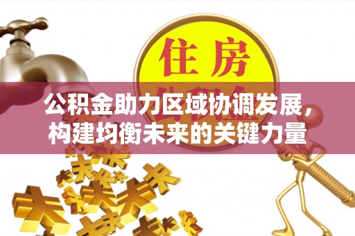 合作公积金助力区域协调发展，构建均衡未来的关键力量