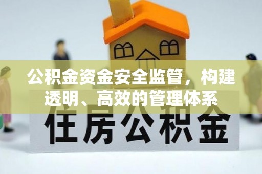 合作公积金资金安全监管，构建透明、高效的管理体系