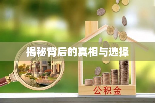 合作揭秘背后的真相与选择