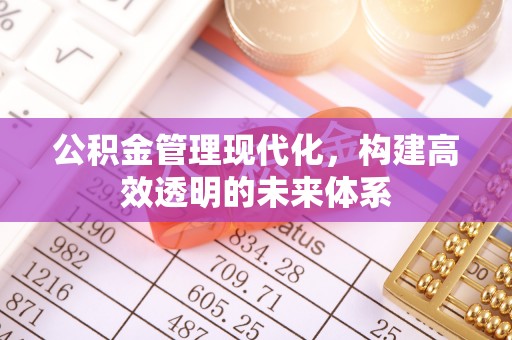 合作公积金管理现代化，构建高效透明的未来体系