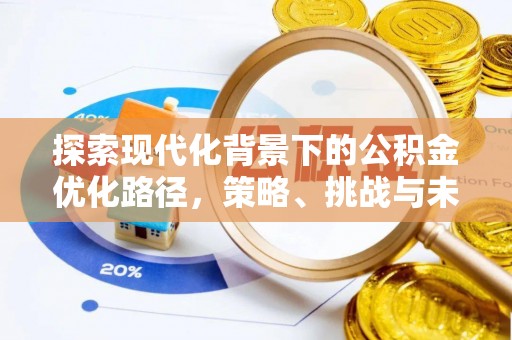 合作探索现代化背景下的公积金优化路径，策略、挑战与未来展望