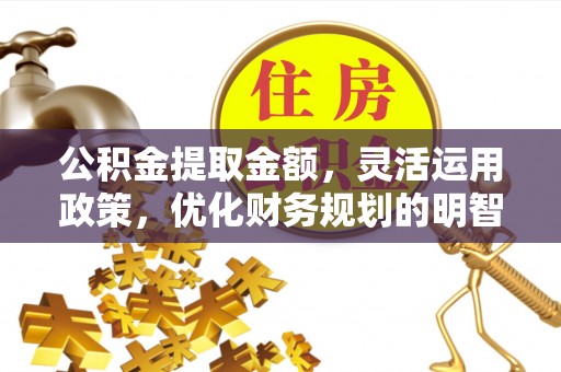 合作公积金提取金额，灵活运用政策，优化财务规划的明智选择