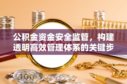 合作公积金资金安全监管，构建透明高效管理体系的关键步骤