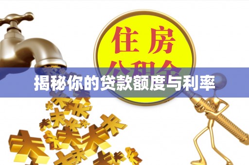 合作揭秘你的贷款额度与利率