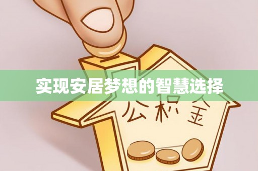 合作实现安居梦想的智慧选择