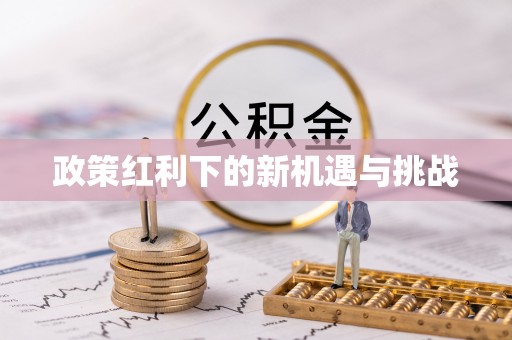 合作政策红利下的新机遇与挑战