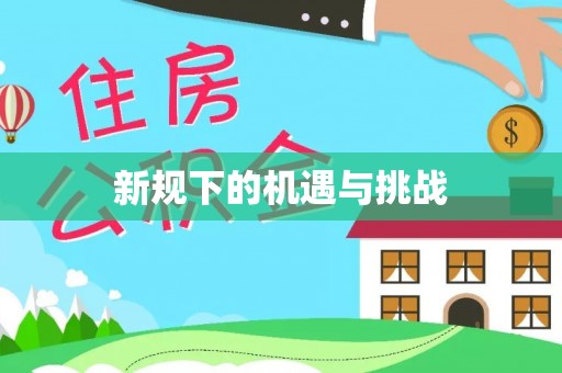 合作新规下的机遇与挑战