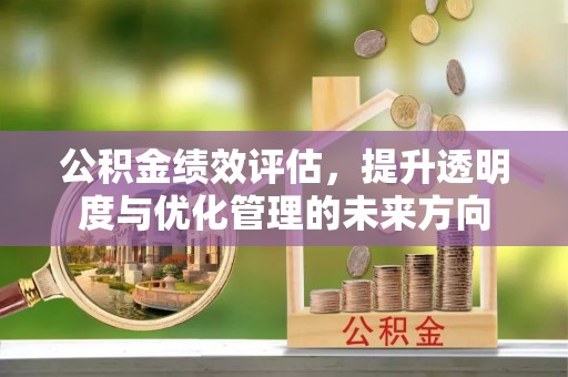 合作公积金绩效评估，提升透明度与优化管理的未来方向