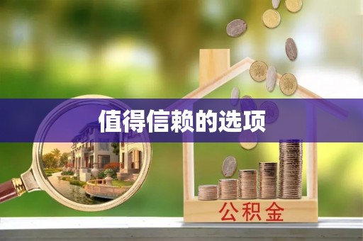 合作值得信赖的选项
