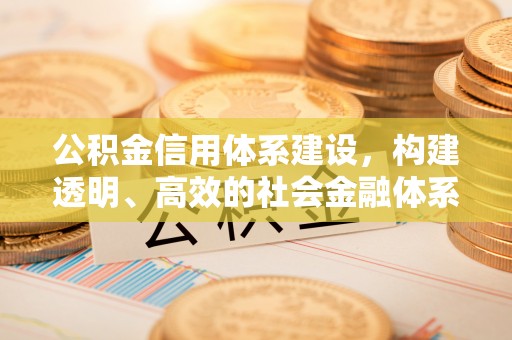 合作公积金信用体系建设，构建透明、高效的社会金融体系
